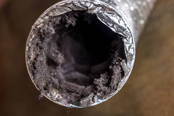 Best Affordable Air Duct Cleaning  in Effort, PA